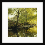 A Wooded River Landscape, 1910 by Peder Monsted