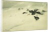 Grouse in a Snow Storm, 1890 by Bruno Andreas Liljefors