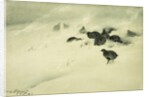 Grouse in a Snow Storm, 1890 by Bruno Andreas Liljefors