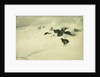 Grouse in a Snow Storm, 1890 by Bruno Andreas Liljefors