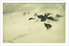 Grouse in a Snow Storm, 1890 by Bruno Andreas Liljefors