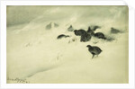 Grouse in a Snow Storm, 1890 by Bruno Andreas Liljefors