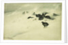 Grouse in a Snow Storm, 1890 by Bruno Andreas Liljefors