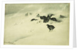 Grouse in a Snow Storm, 1890 by Bruno Andreas Liljefors
