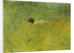 On the Grass; I Grongraset, 1902 by Carl Larsson