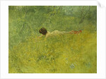 On the Grass; I Grongraset, 1902 by Carl Larsson