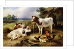 Farmyard Friends, 1923 by Walter Hunt
