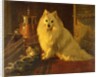 Best of Friends by Wright Barker