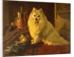 Best of Friends by Wright Barker