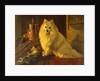 Best of Friends by Wright Barker