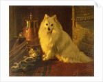 Best of Friends by Wright Barker