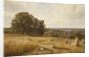 An Extensive Landscape with Harvesters, 1873 by Edmund George Warren