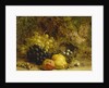 Grapes, an Apple, a Pear and a Bird's Nest on a Mossy Bank, 1865 by William Hughes