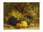 Grapes, an Apple, a Pear and a Bird's Nest on a Mossy Bank, 1865 by William Hughes
