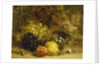 Grapes, an Apple, a Pear and a Bird's Nest on a Mossy Bank, 1865 by William Hughes