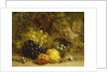 Grapes, an Apple, a Pear and a Bird's Nest on a Mossy Bank, 1865 by William Hughes