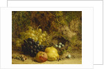 Grapes, an Apple, a Pear and a Bird's Nest on a Mossy Bank, 1865 by William Hughes