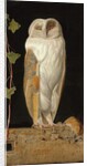 The White Owl: 'Alone and warming his five wits, the white owl in the belfry sits', 1856 by William J. Webbe