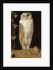 The White Owl: 'Alone and warming his five wits, the white owl in the belfry sits', 1856 by William J. Webbe