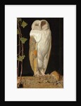 The White Owl: 'Alone and warming his five wits, the white owl in the belfry sits', 1856 by William J. Webbe