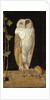 The White Owl: 'Alone and warming his five wits, the white owl in the belfry sits', 1856 by William J. Webbe