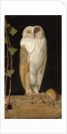 The White Owl: 'Alone and warming his five wits, the white owl in the belfry sits', 1856 by William J. Webbe