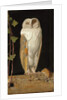 The White Owl: 'Alone and warming his five wits, the white owl in the belfry sits', 1856 by William J. Webbe