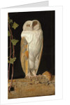 The White Owl: 'Alone and warming his five wits, the white owl in the belfry sits', 1856 by William J. Webbe