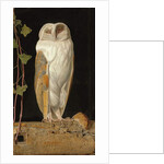 The White Owl: 'Alone and warming his five wits, the white owl in the belfry sits', 1856 by William J. Webbe