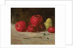 Still life, apples and pears, 1871 by Gustave Courbet