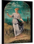 Young woman holding a flower with an extensive landscape beyond by Girolamo da Carpi