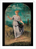 Young woman holding a flower with an extensive landscape beyond by Girolamo da Carpi