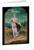 Young woman holding a flower with an extensive landscape beyond by Girolamo da Carpi