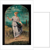 Young woman holding a flower with an extensive landscape beyond by Girolamo da Carpi