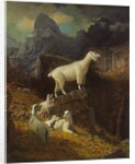 Rocky Mountain Goats, c.1885 by Albert Bierstadt