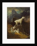 Rocky Mountain Goats, c.1885 by Albert Bierstadt