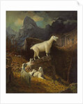 Rocky Mountain Goats, c.1885 by Albert Bierstadt