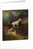 Rocky Mountain Goats, c.1885 by Albert Bierstadt