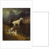 Rocky Mountain Goats, c.1885 by Albert Bierstadt