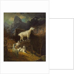 Rocky Mountain Goats, c.1885 by Albert Bierstadt