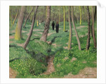 Undergrowth in Spring, 1923 by Felix Edouard Vallotton