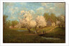 Spring Blossoms by Julian Onderdonk