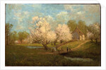 Spring Blossoms by Julian Onderdonk