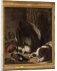 A hunting dog and his prey, 1768 by Johann Friedrich von Grooth