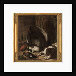 A hunting dog and his prey, 1768 by Johann Friedrich von Grooth