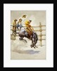 The Bucking Bronco by Newell Convers Wyeth
