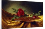Roses on a Palette, 1880's by Martin Johnson Heade