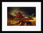 Roses on a Palette, 1880's by Martin Johnson Heade
