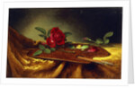 Roses on a Palette, 1880's by Martin Johnson Heade