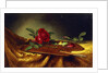 Roses on a Palette, 1880's by Martin Johnson Heade